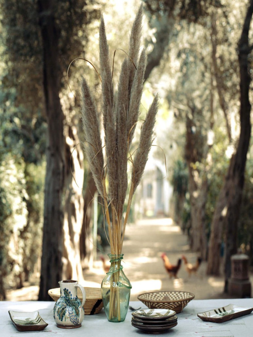 Palm Tree Jug